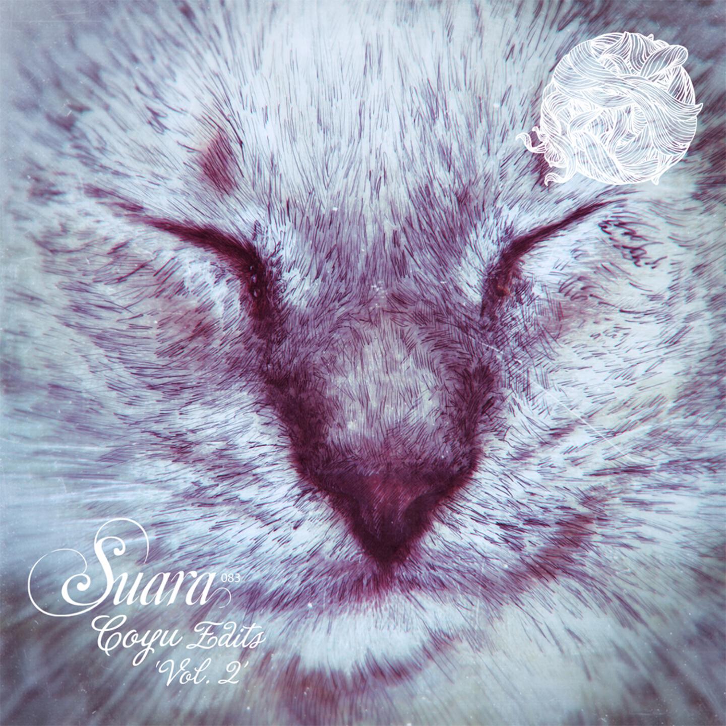Chiqito - Dusty Vinyl (Coyu Edit)