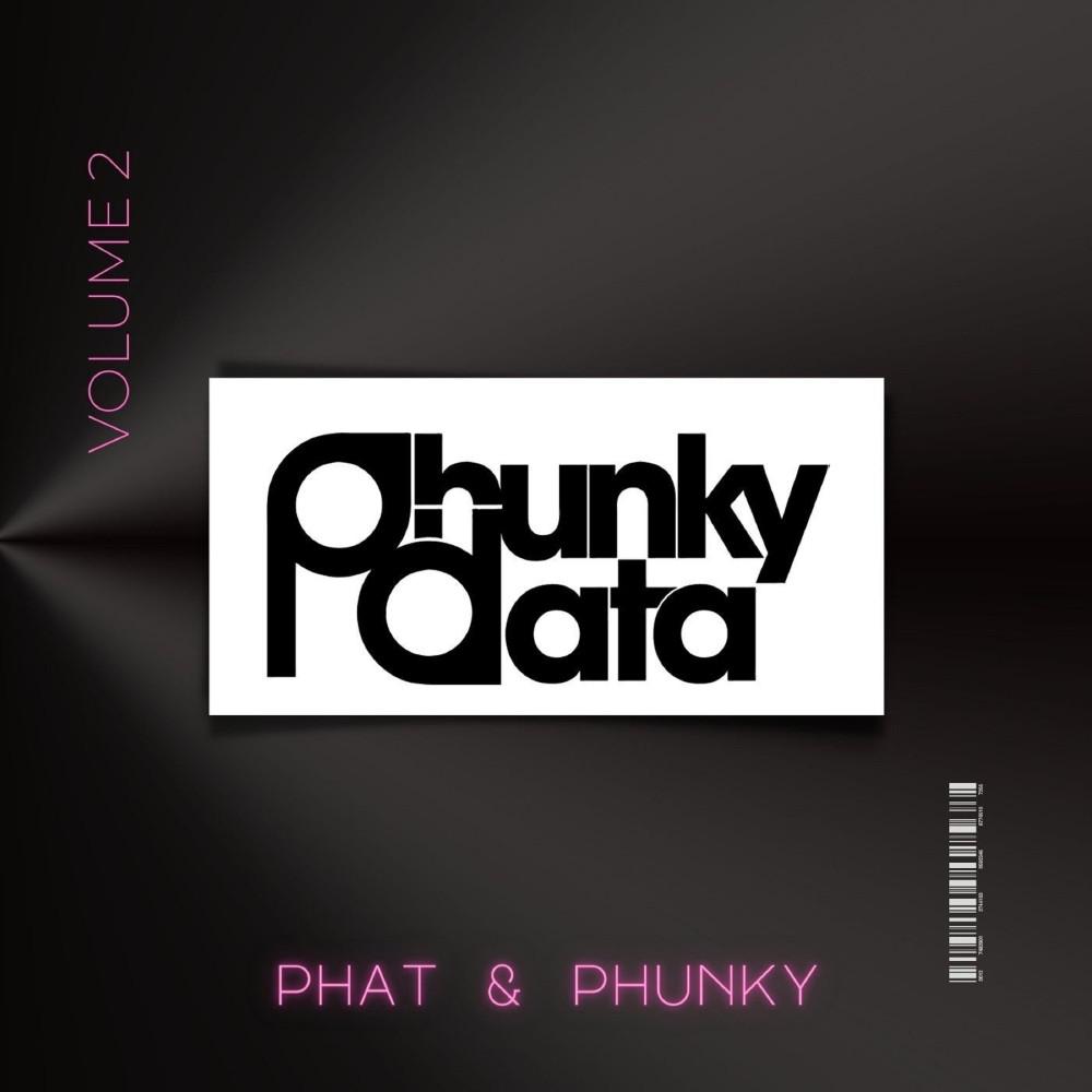 Постер альбома Phat & Phunky, Vol. 2