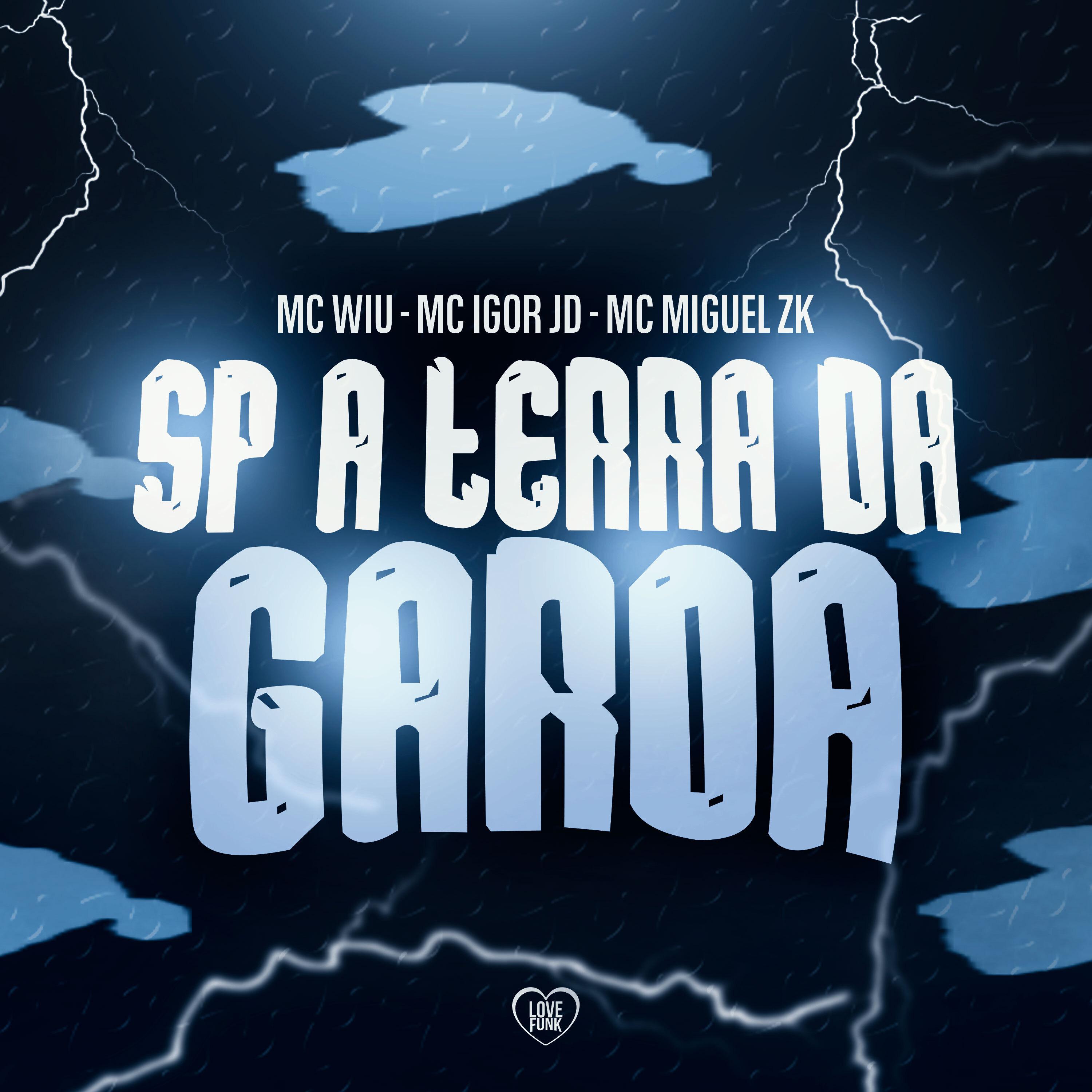 Постер альбома Sp a Terra da Garoa