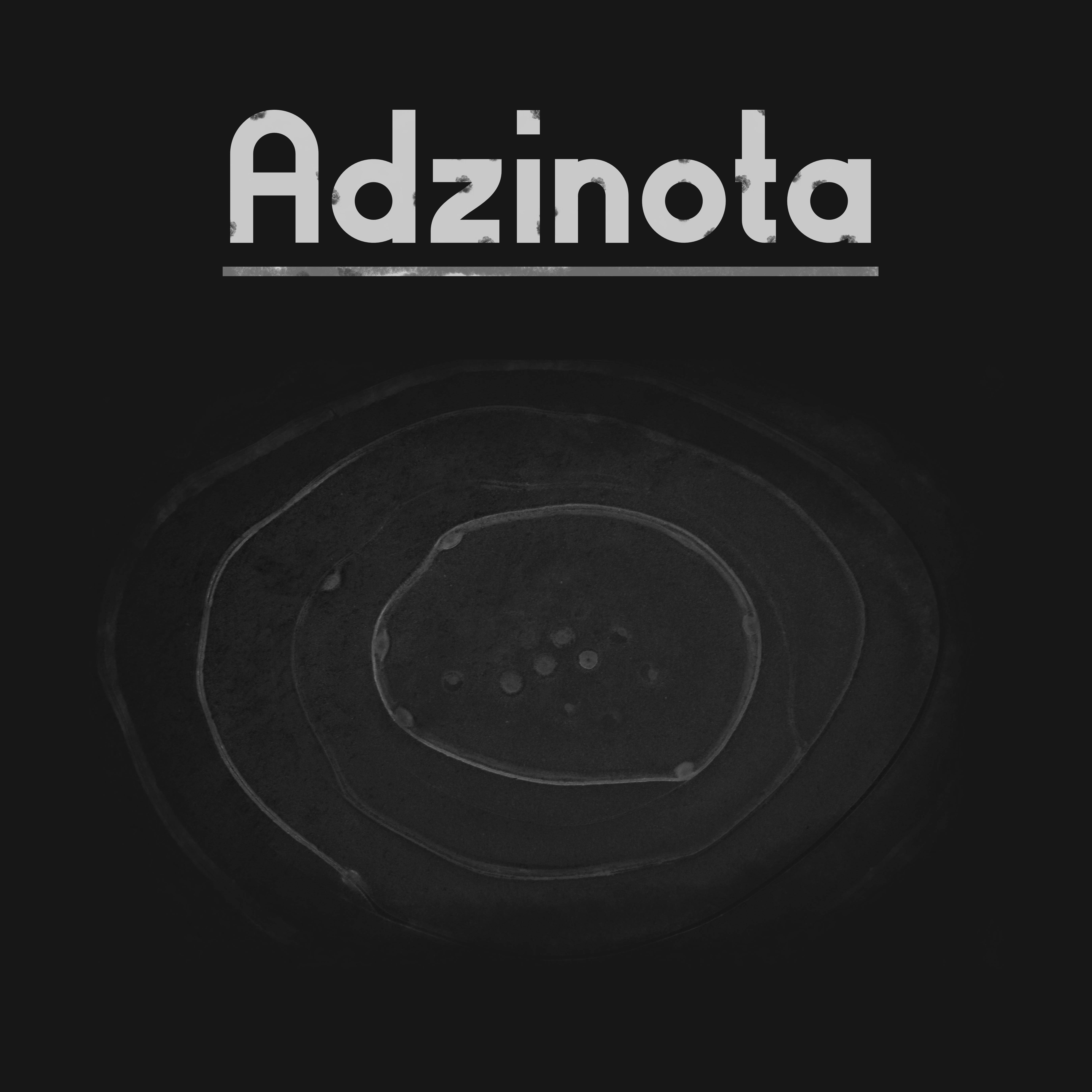 Постер альбома Adzinota
