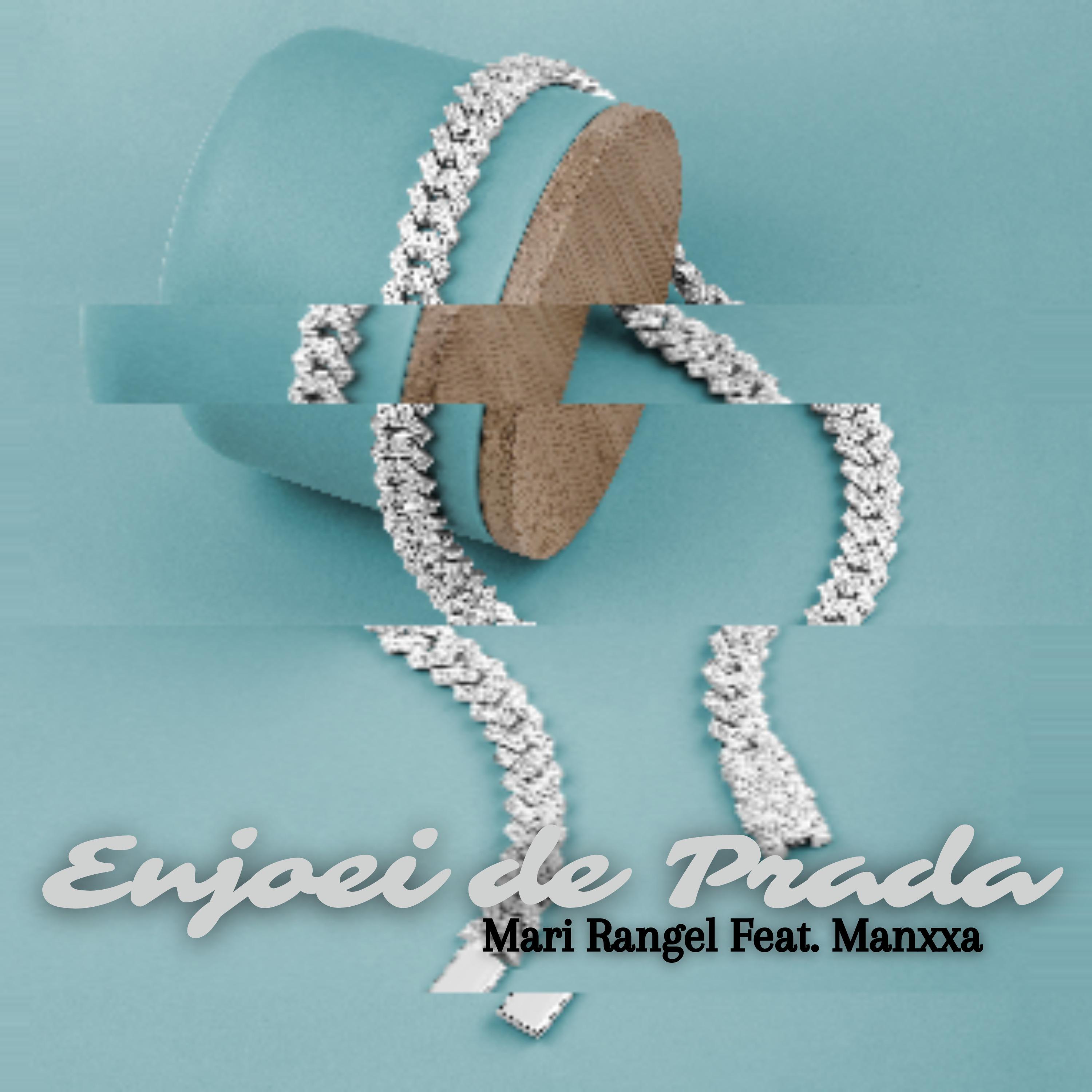 Постер альбома Enjoei de Prada