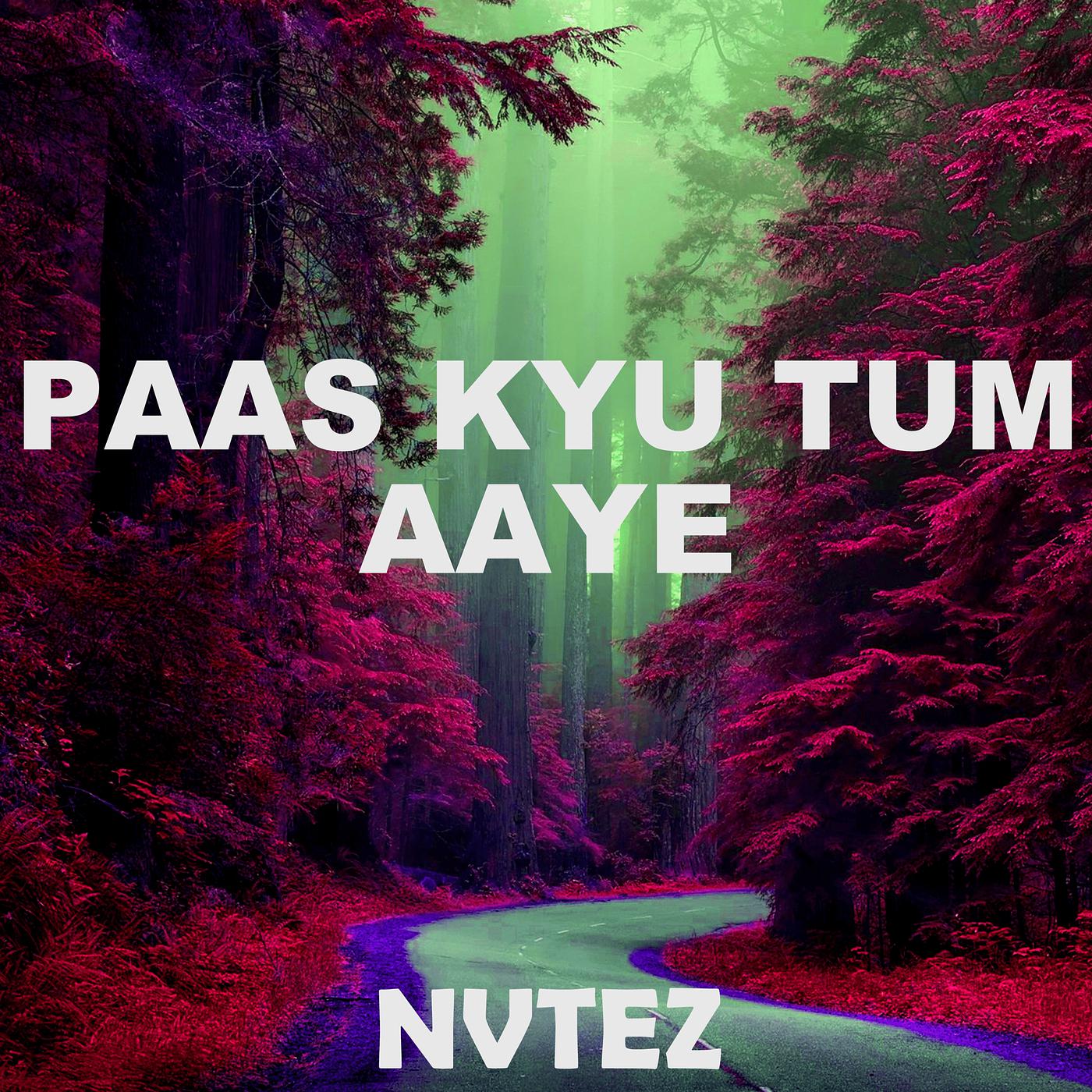 Постер альбома Paas Kyu Tum Aaye