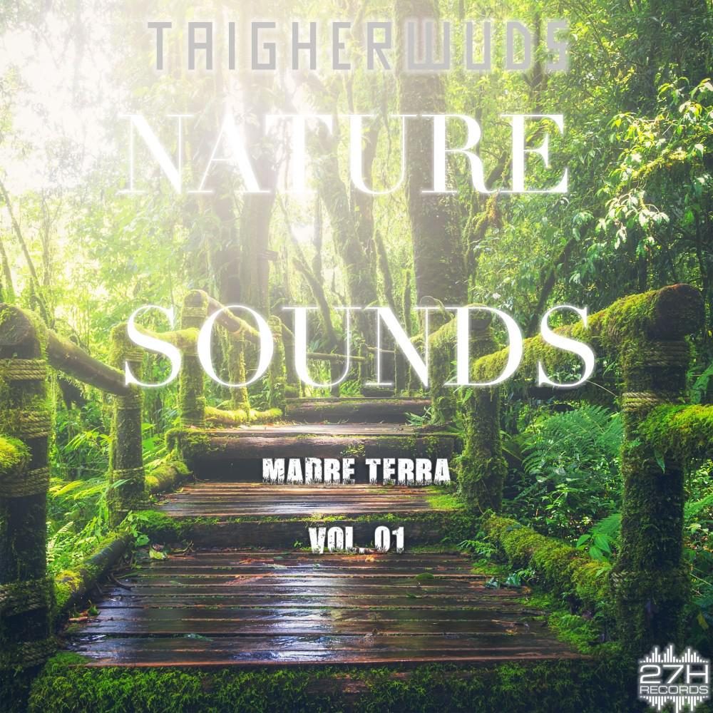 Постер альбома Nature Sounds - Madre Terra, Vol. 01