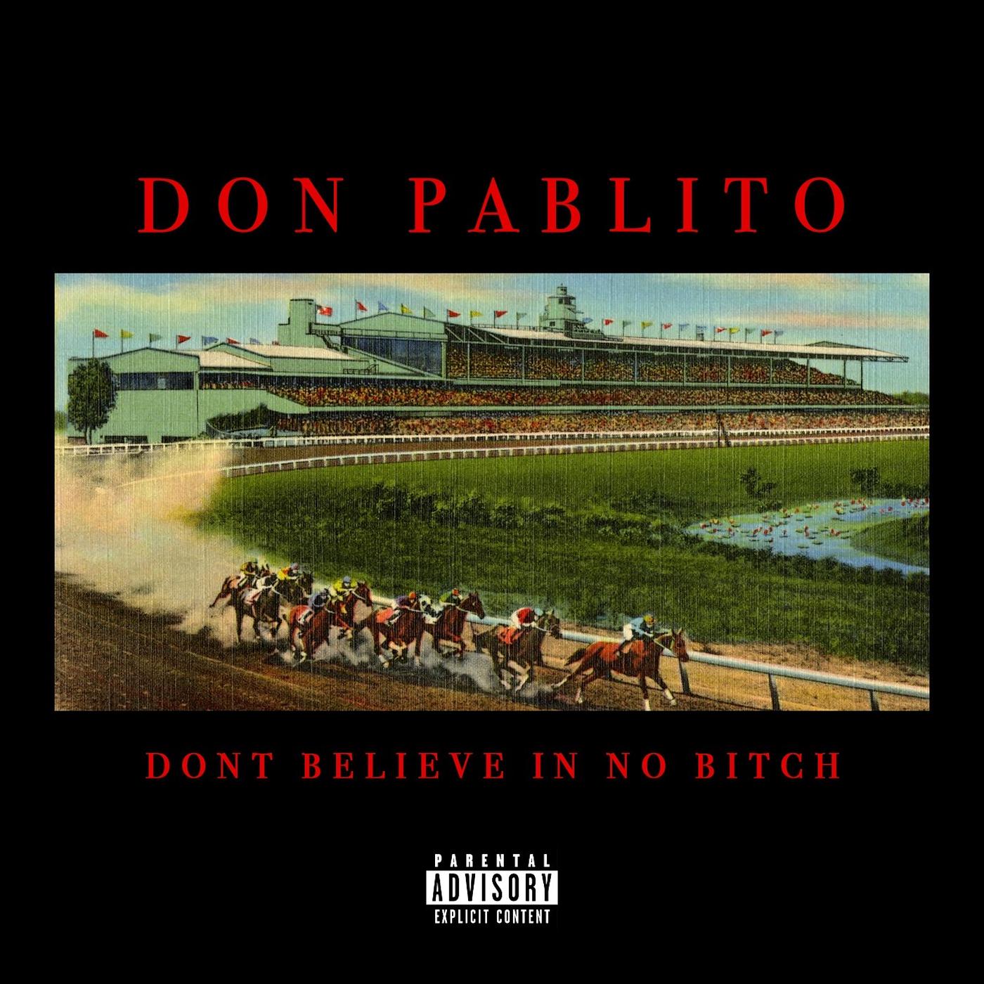Постер альбома Don't Believe in No Bitch