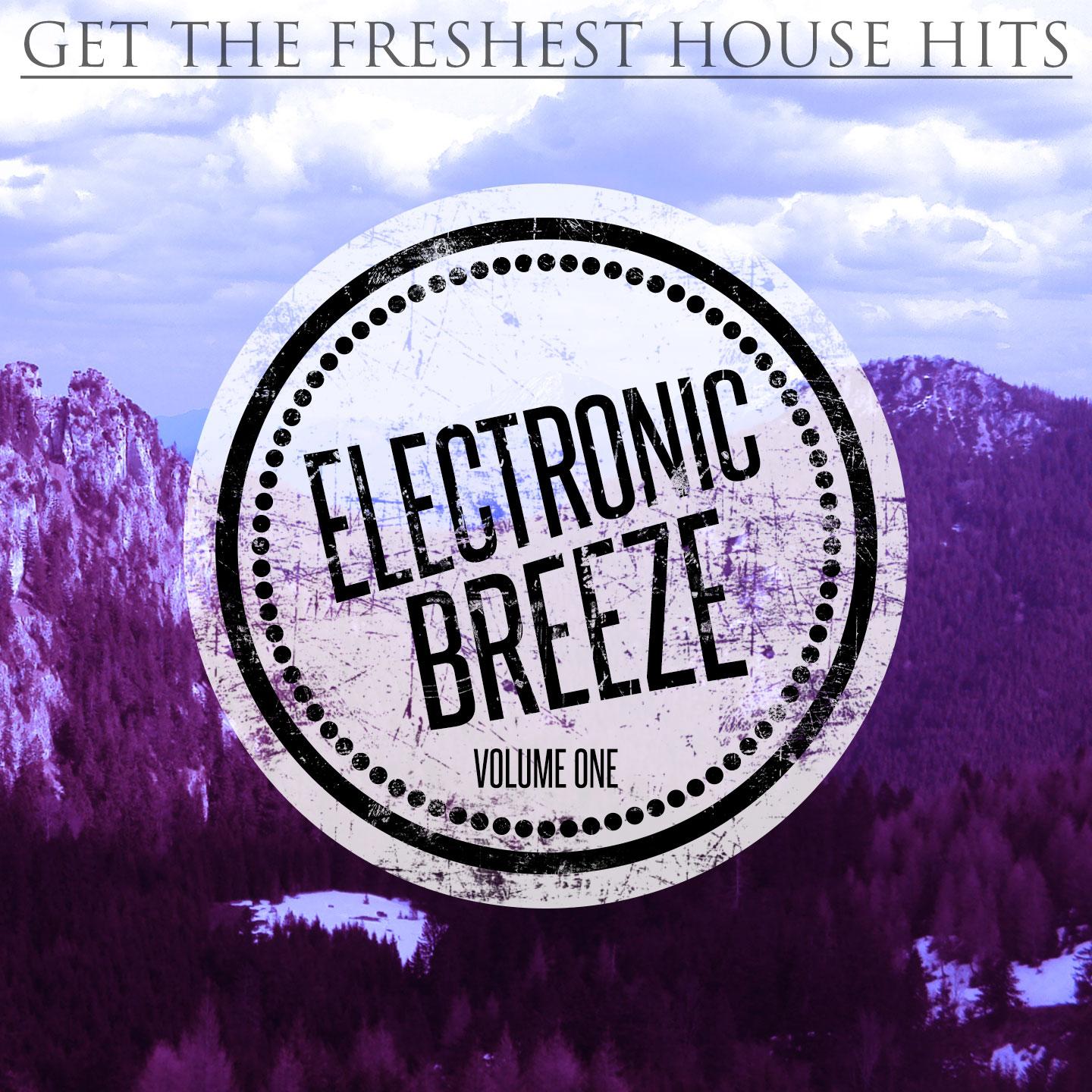 Постер альбома Electronic Breeze, Vol. 1