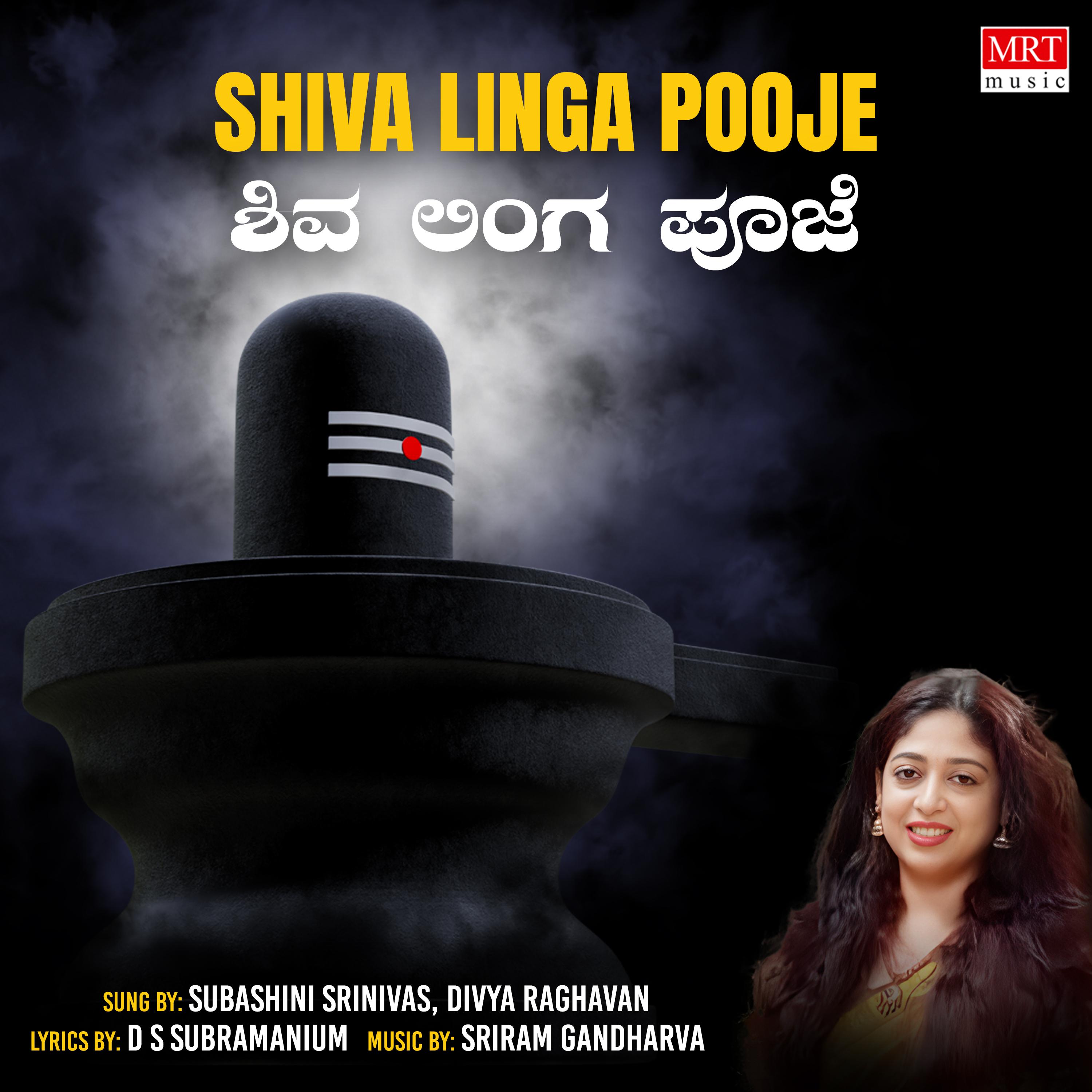 Постер альбома Shiva Linga Pooje