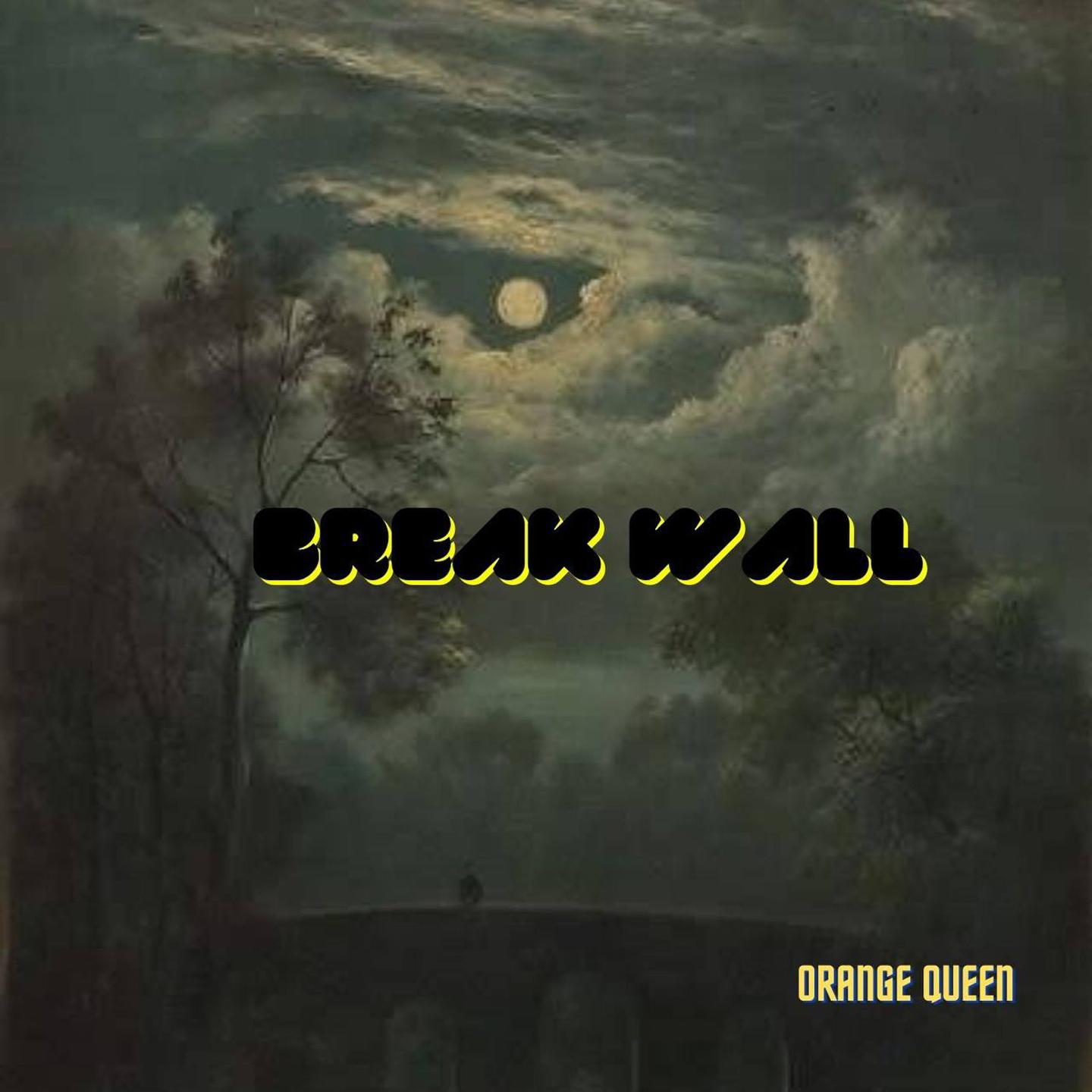 Постер альбома BREAK WALL