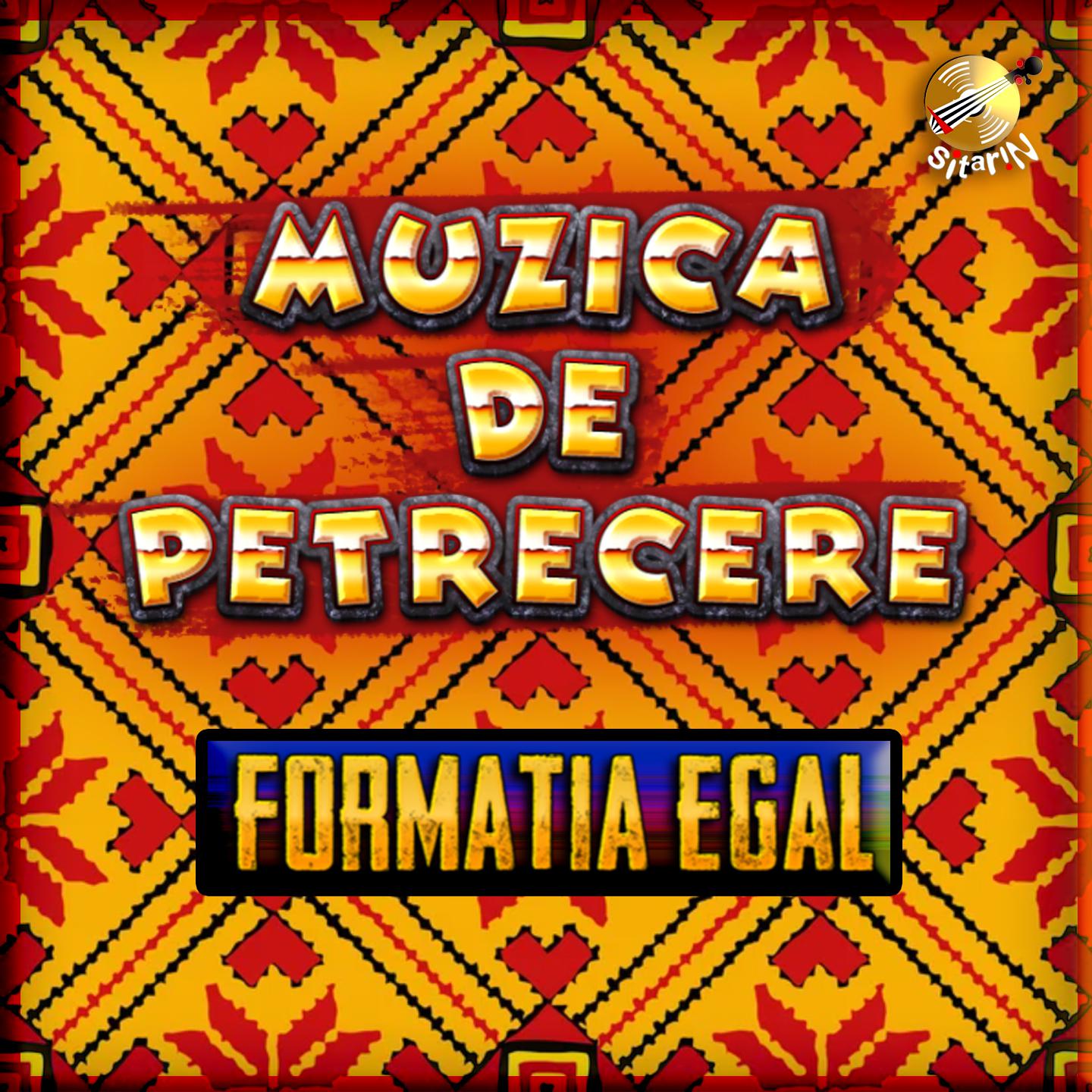 Постер альбома Muzica de Petrecere