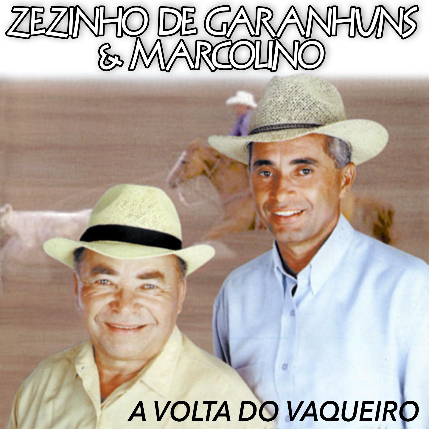 Постер альбома A Volta do Vaqueiro