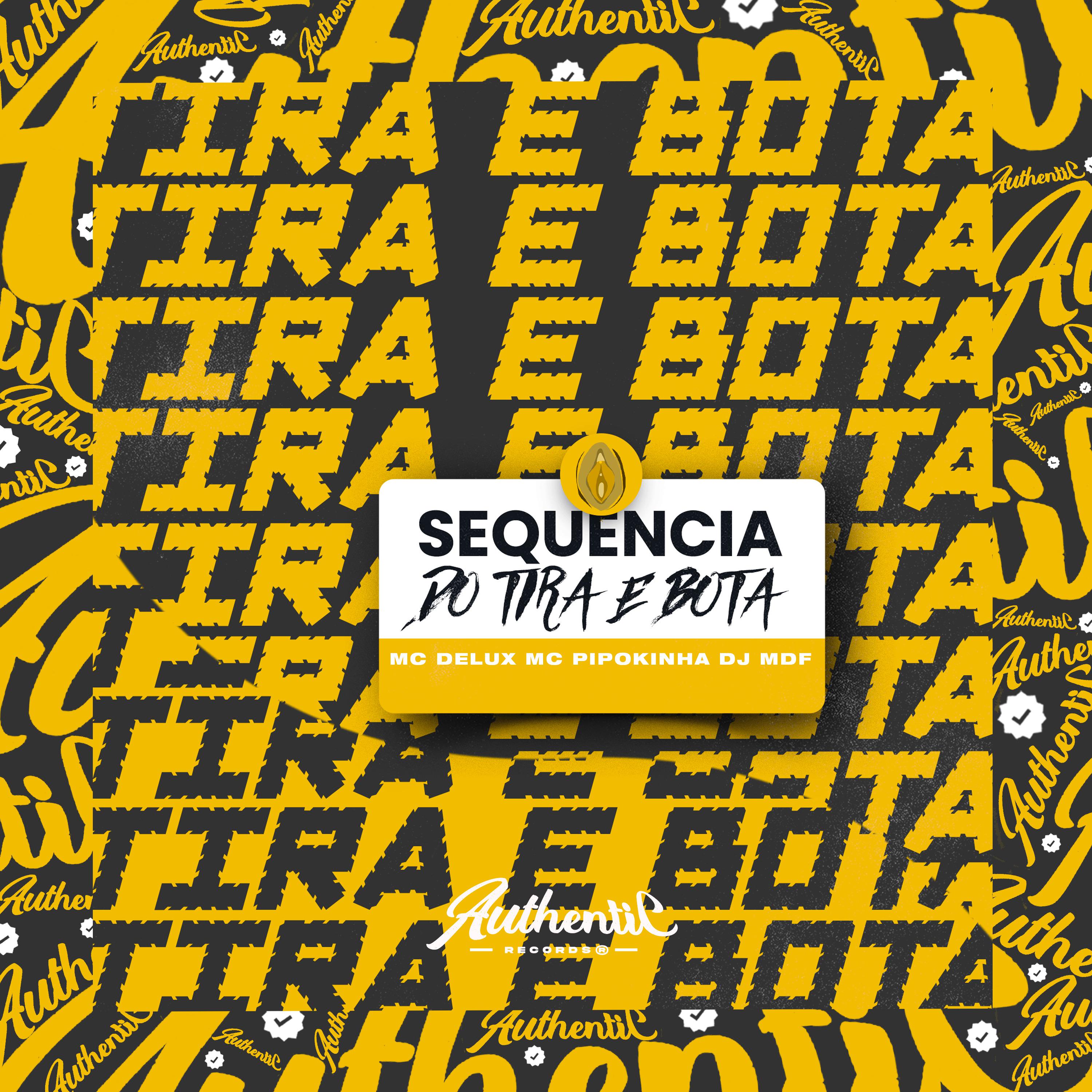 Постер альбома Sequência do Tira e Bota