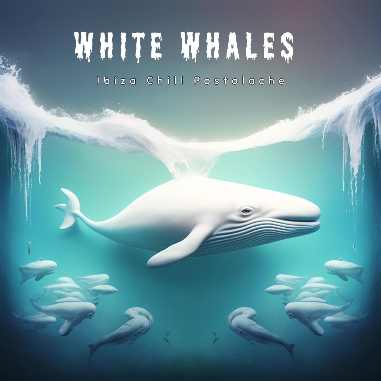 Постер альбома White Whales