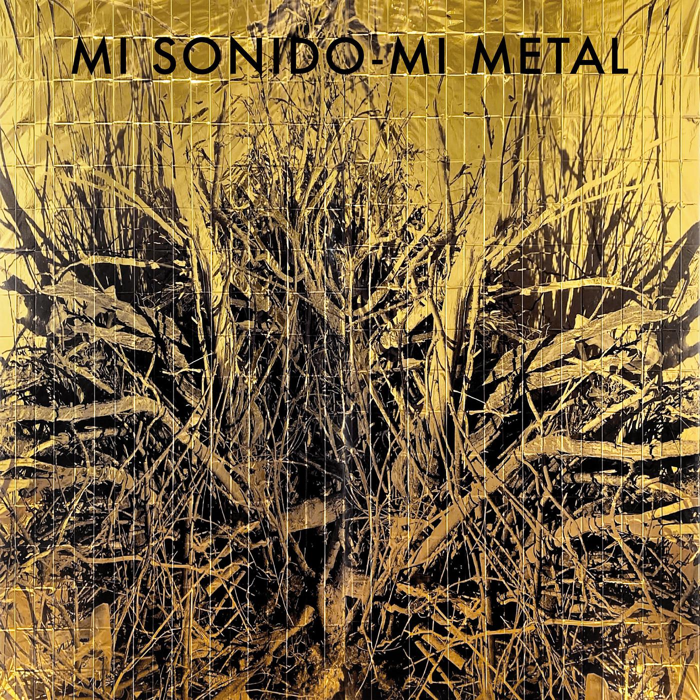 Постер альбома Mi Sonido, Mi Metal