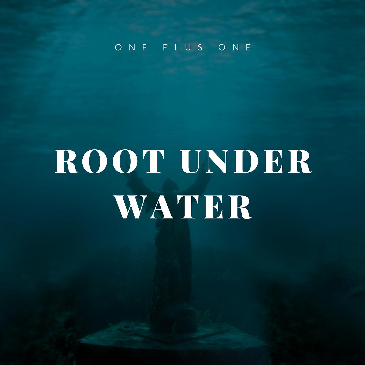 Постер альбома Root Under Water