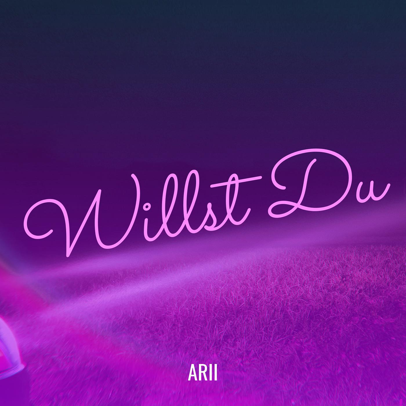 Постер альбома Willst Du