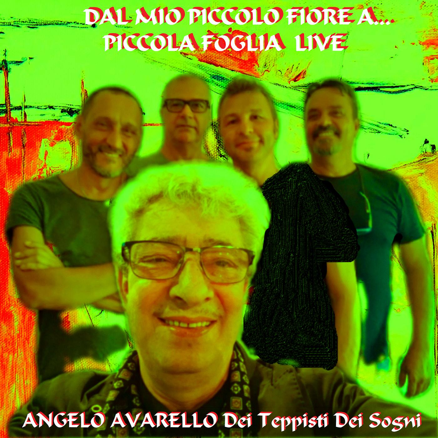 Постер альбома Dal Mio Piccolo Fiore a ... Piccola Foglia (Live)