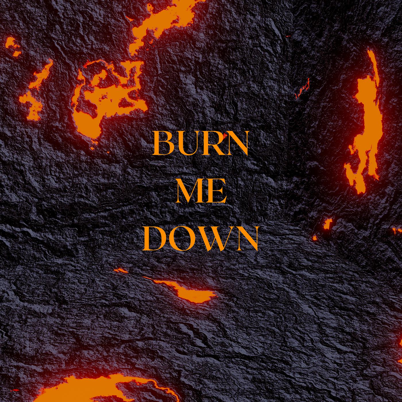 Постер альбома Burn Me Down