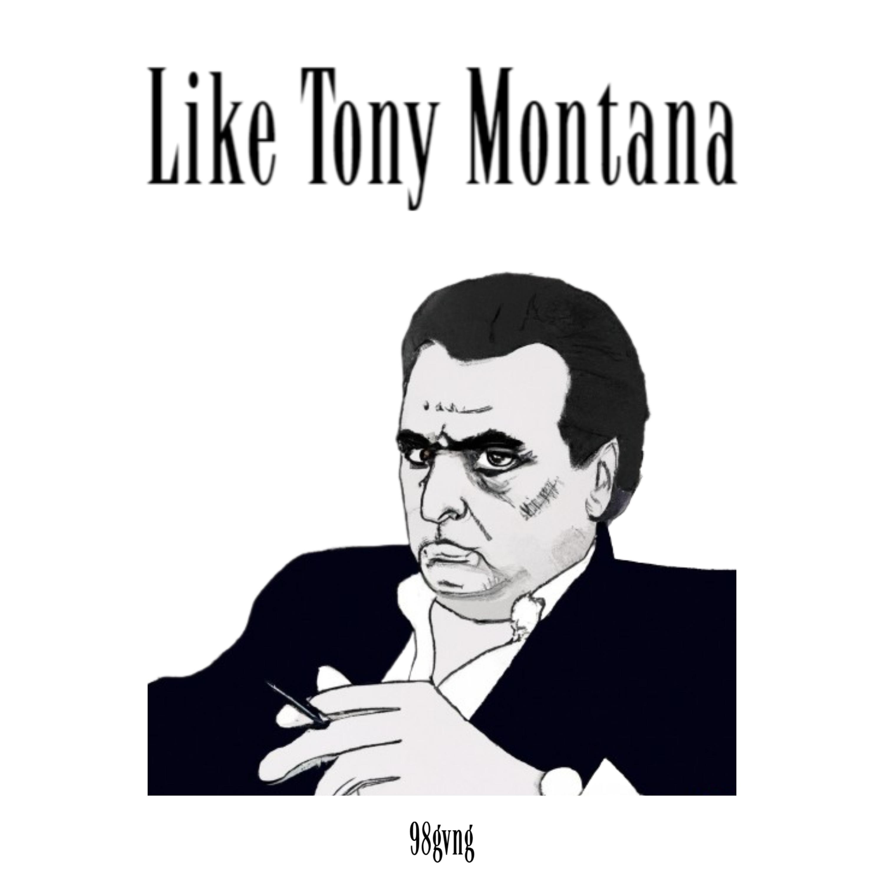 Постер альбома Like Tony Montana