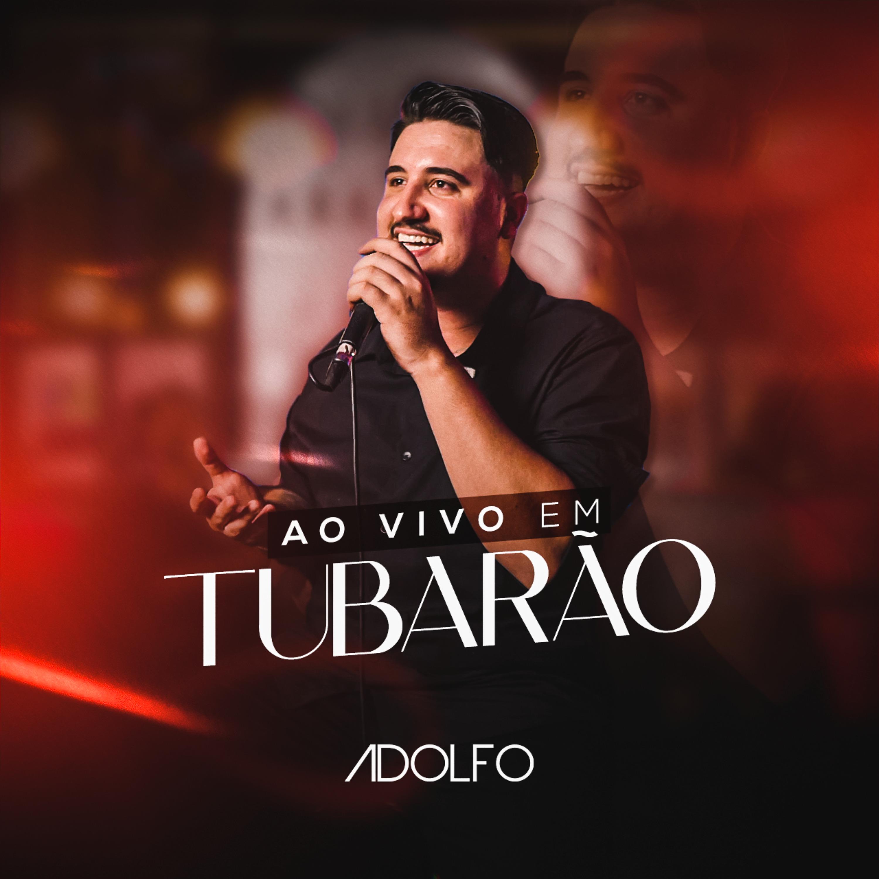 Постер альбома Ao Vivo em Tubarão