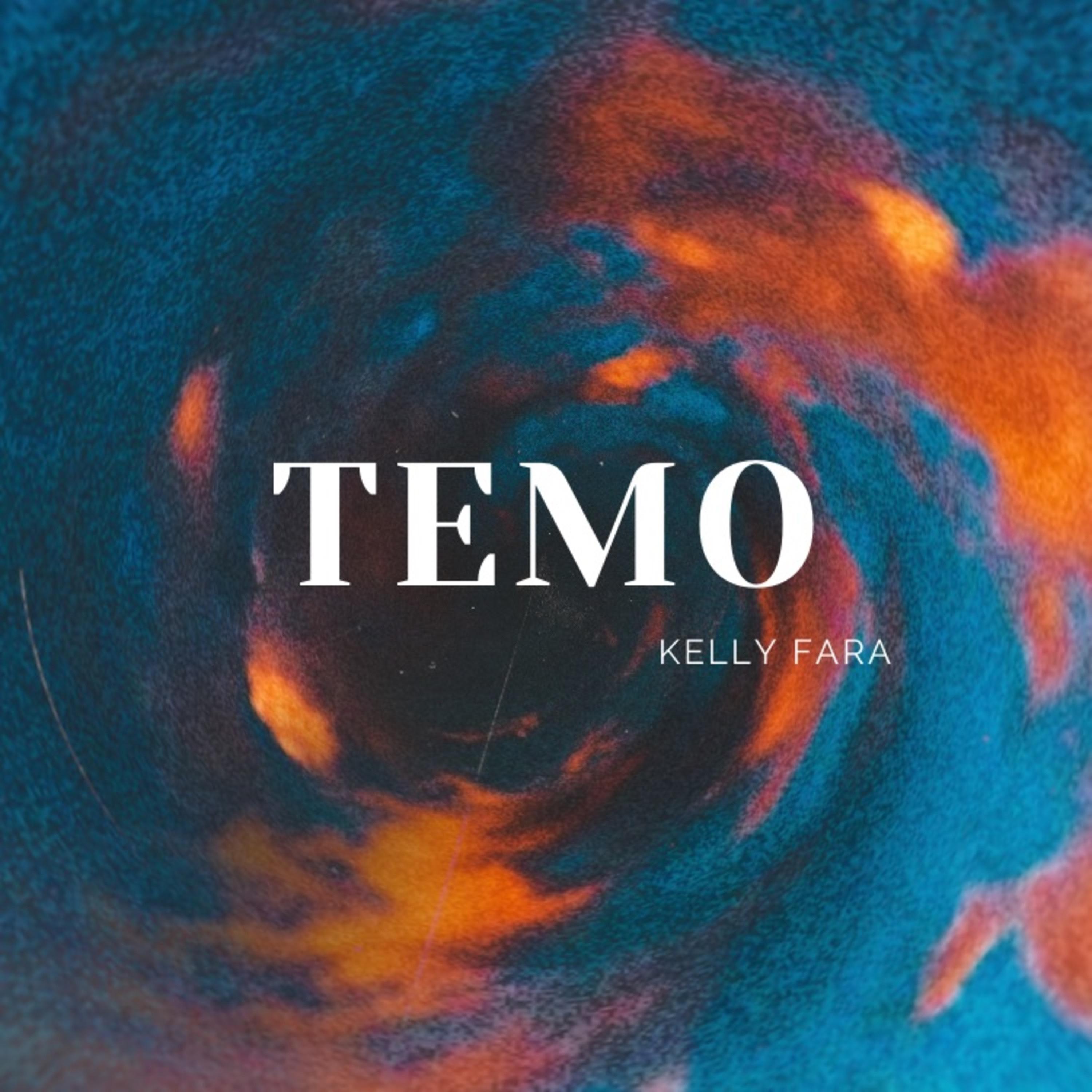 Постер альбома Temo