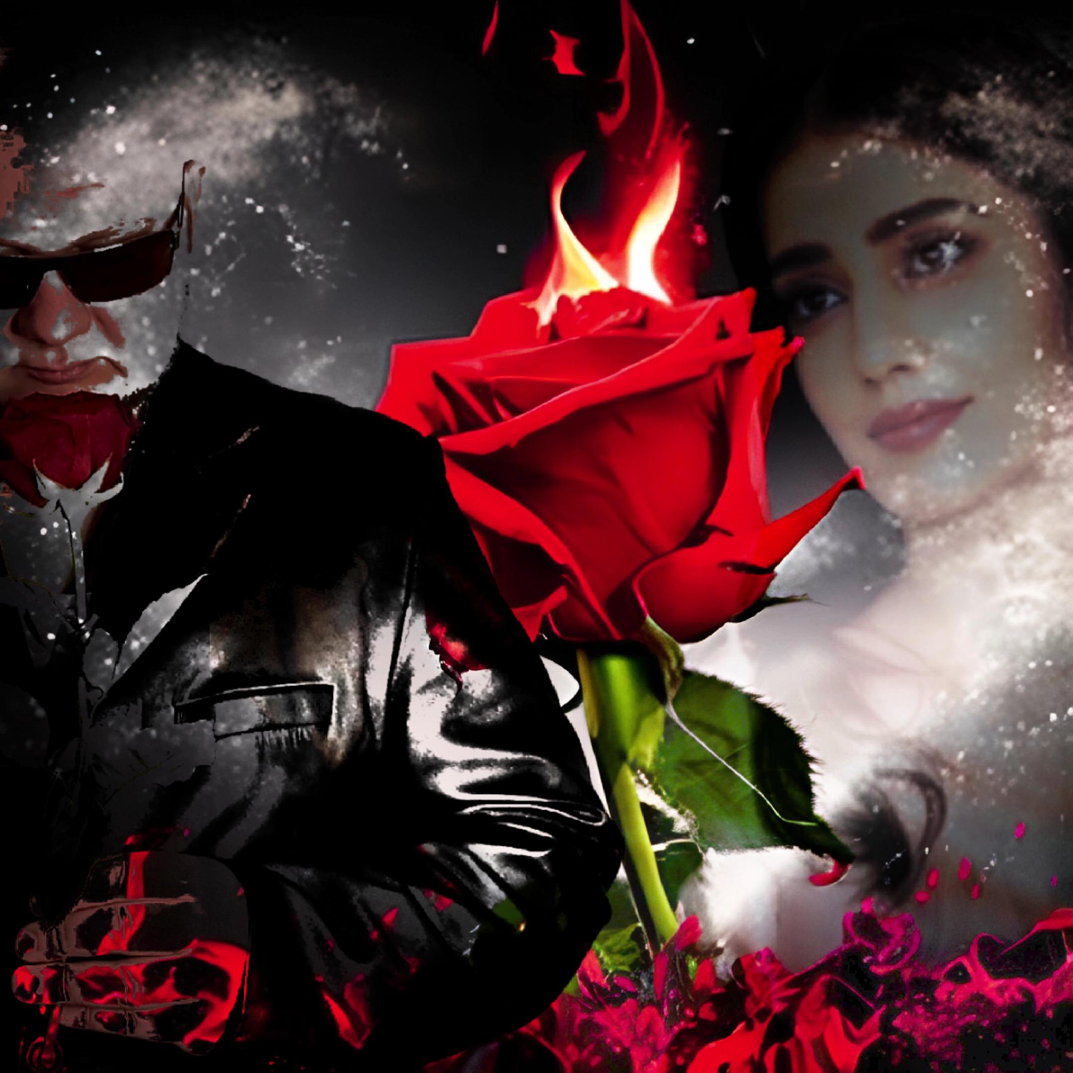 Постер альбома Танго. Роза