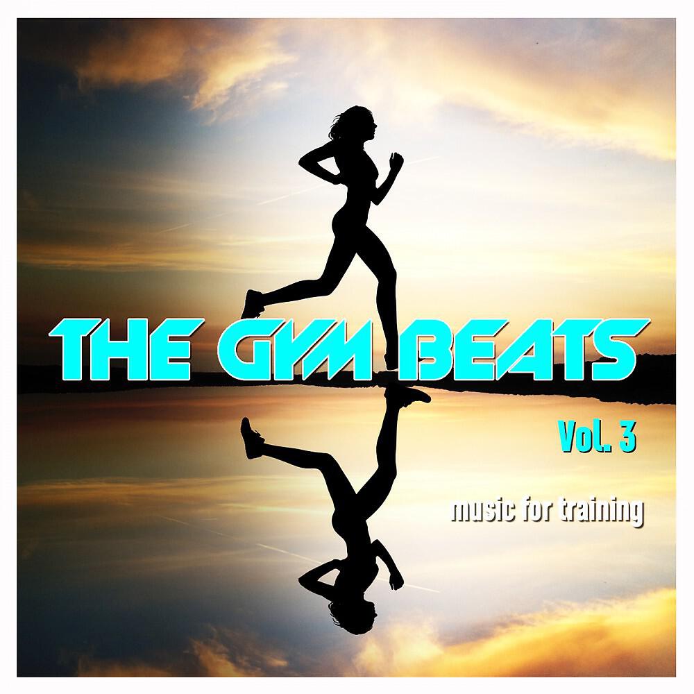 THE GYM BEATS - Skydiver