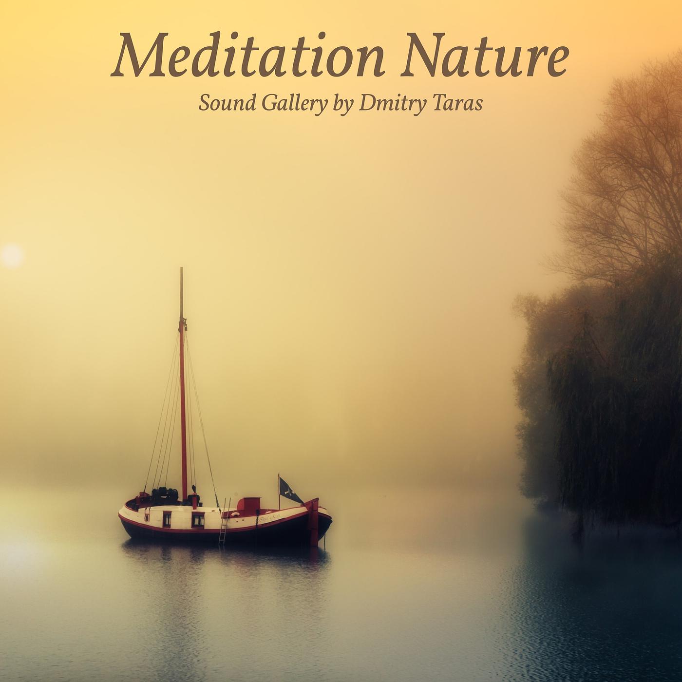 Постер альбома Meditation Nature