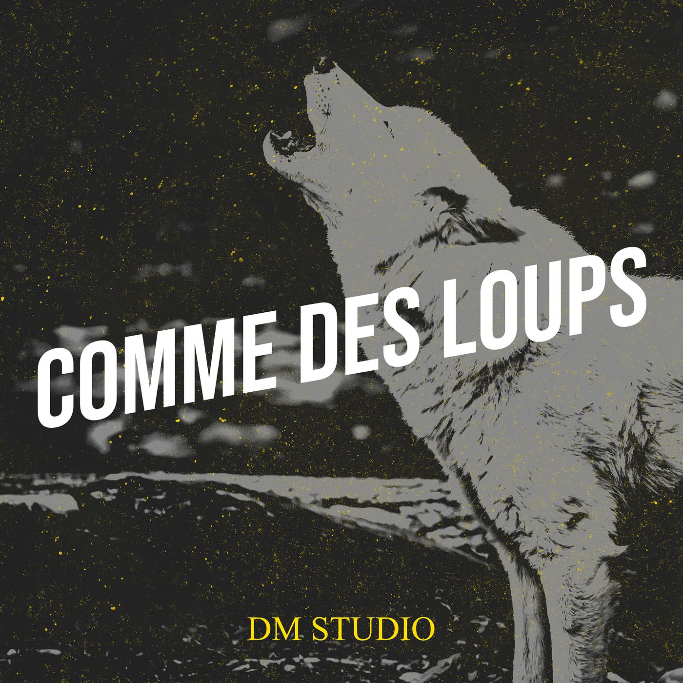 Постер альбома Comme des loups