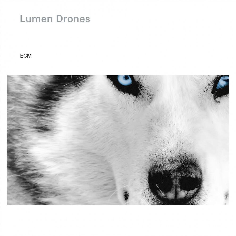 Lumen Drones - Svartaskjær
