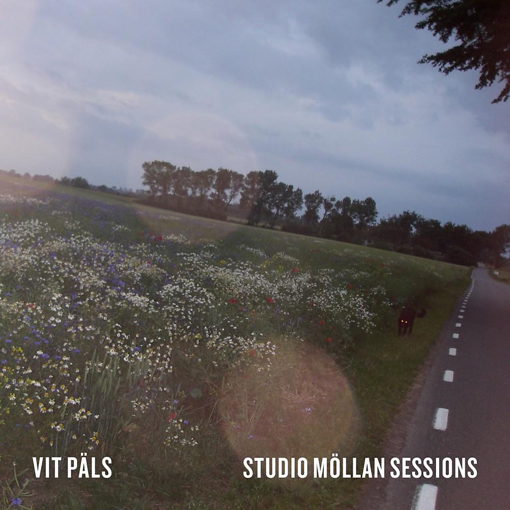 Постер альбома Studio Möllan Sessions