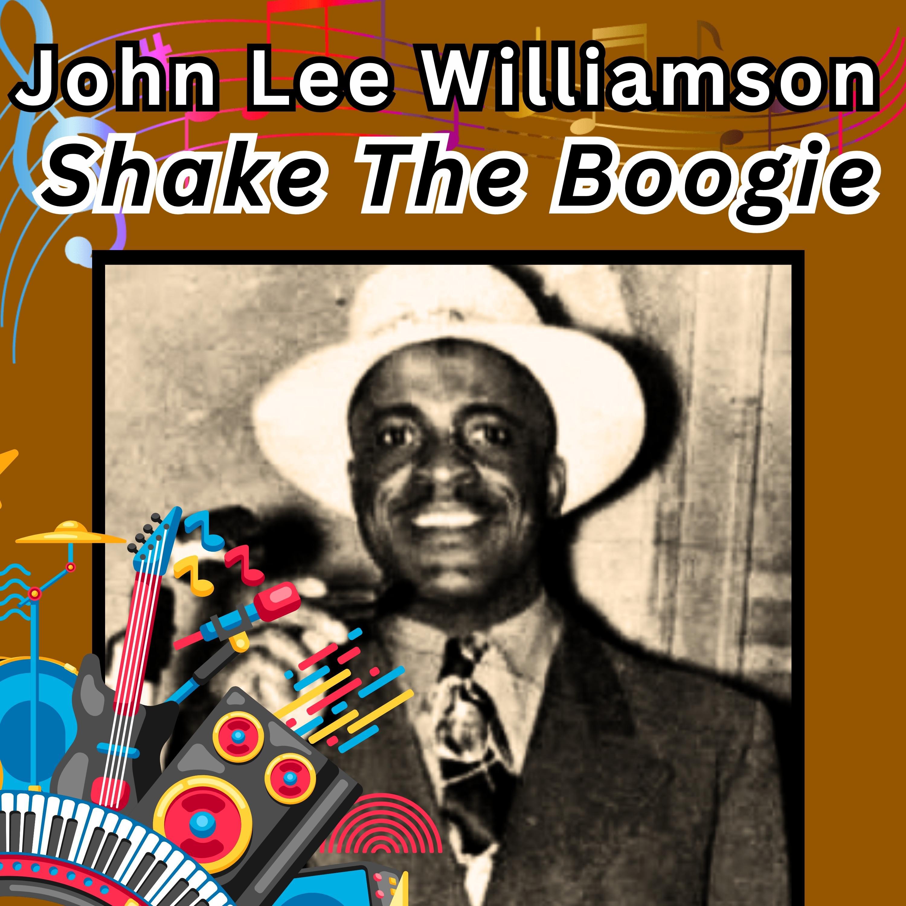 Постер альбома Shake The Boogie