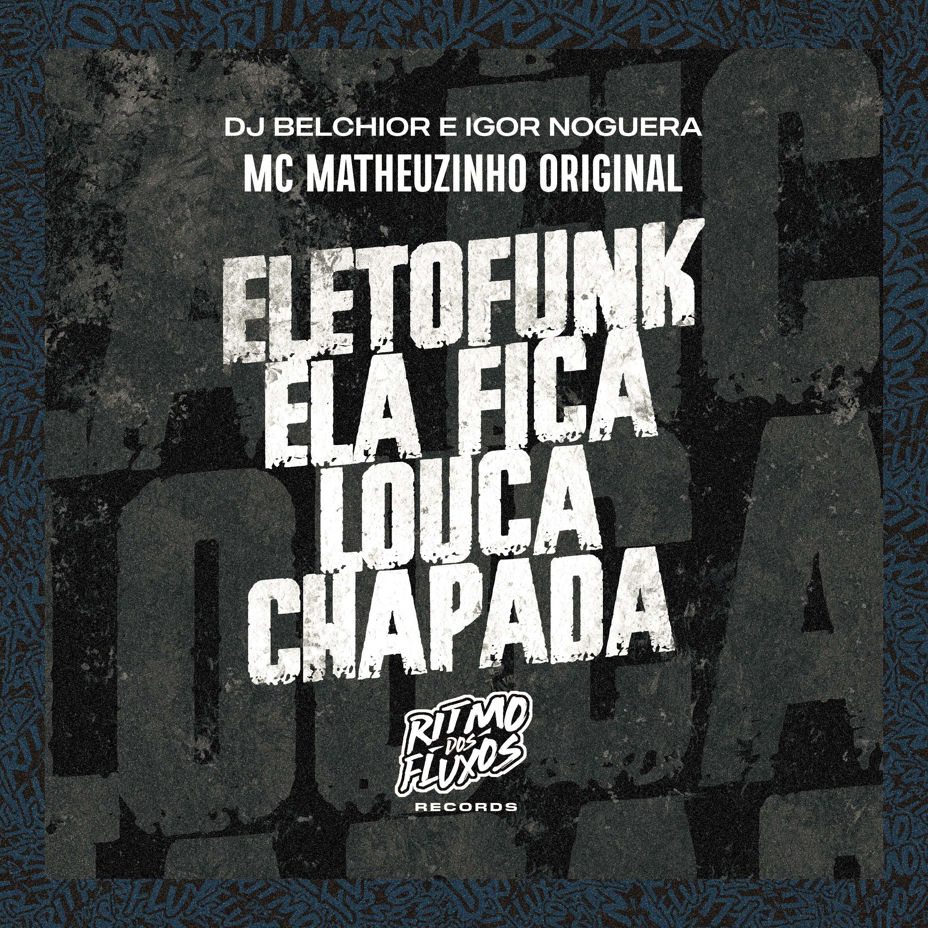 Постер альбома Eletrofunk Ela Fica Louca Chapada