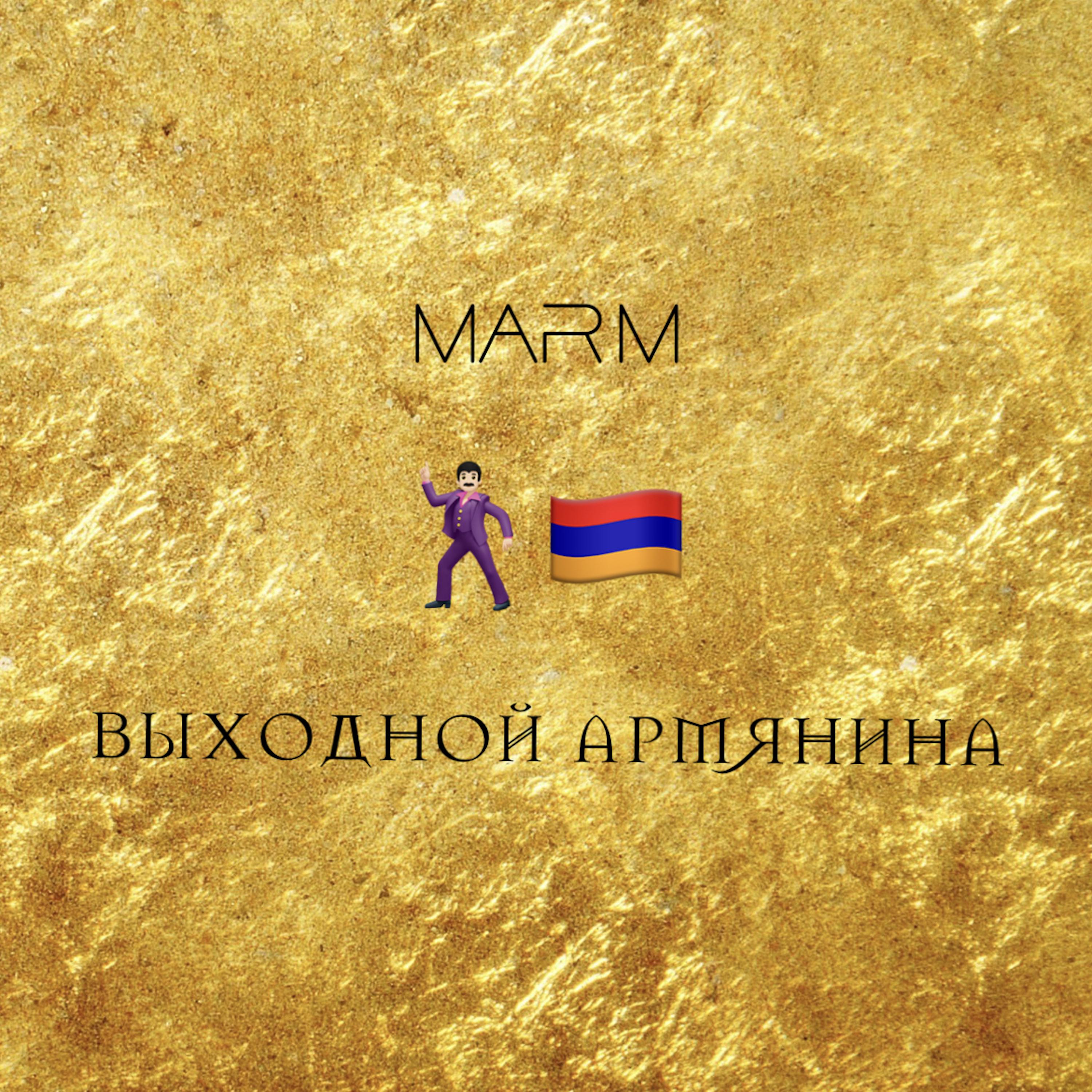 Постер альбома Выходной Армянина