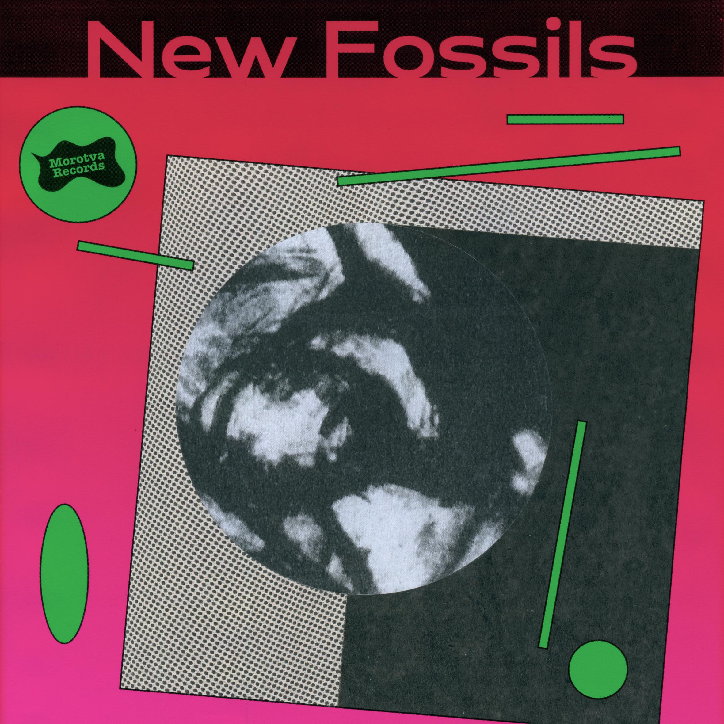 Постер альбома New Fossils