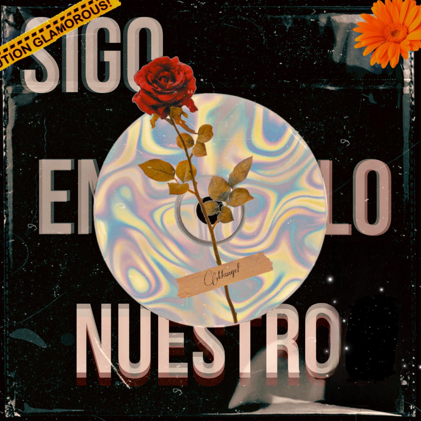 Постер альбома Sigo En Lo Nuestro