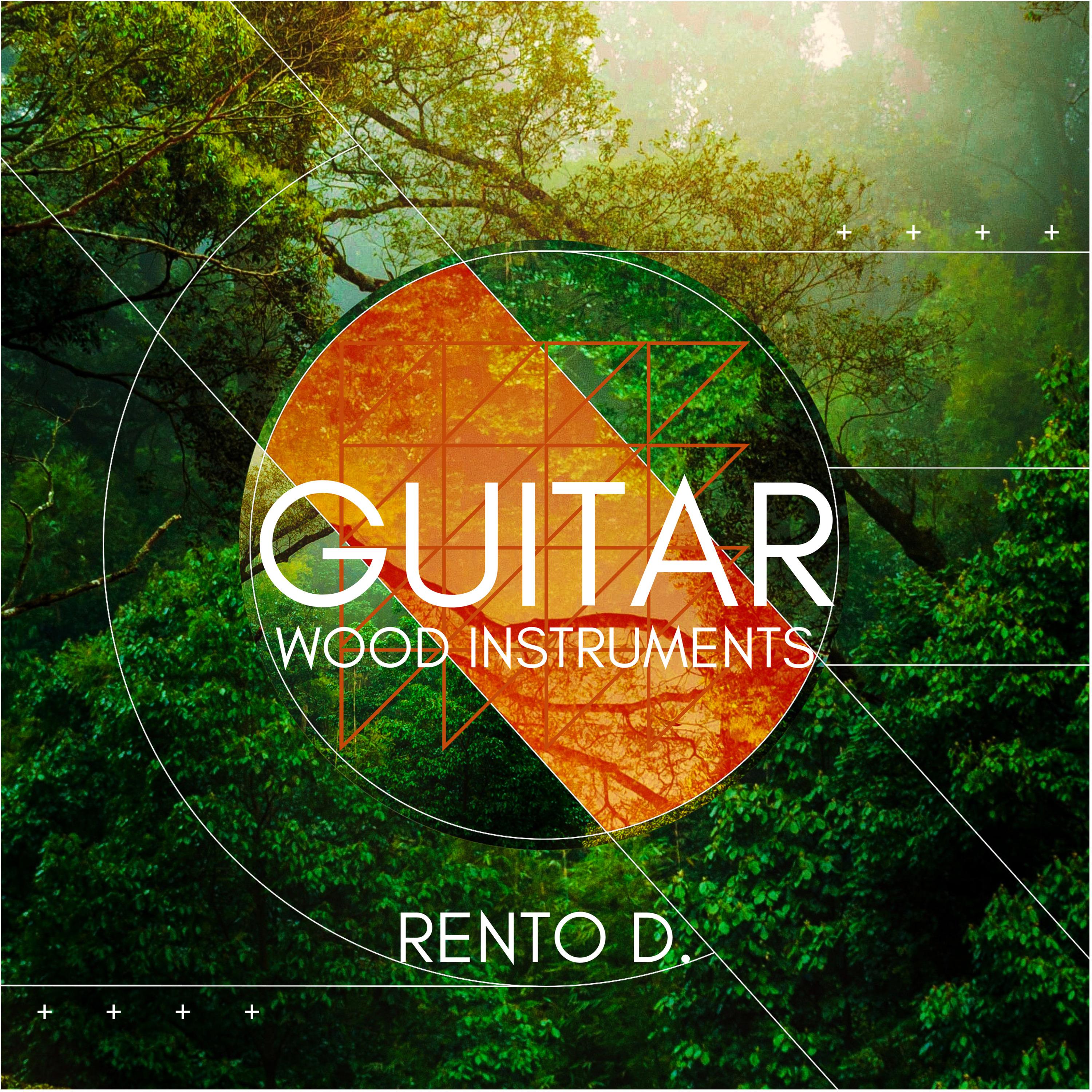 Постер альбома Guitar and Wood Instruments