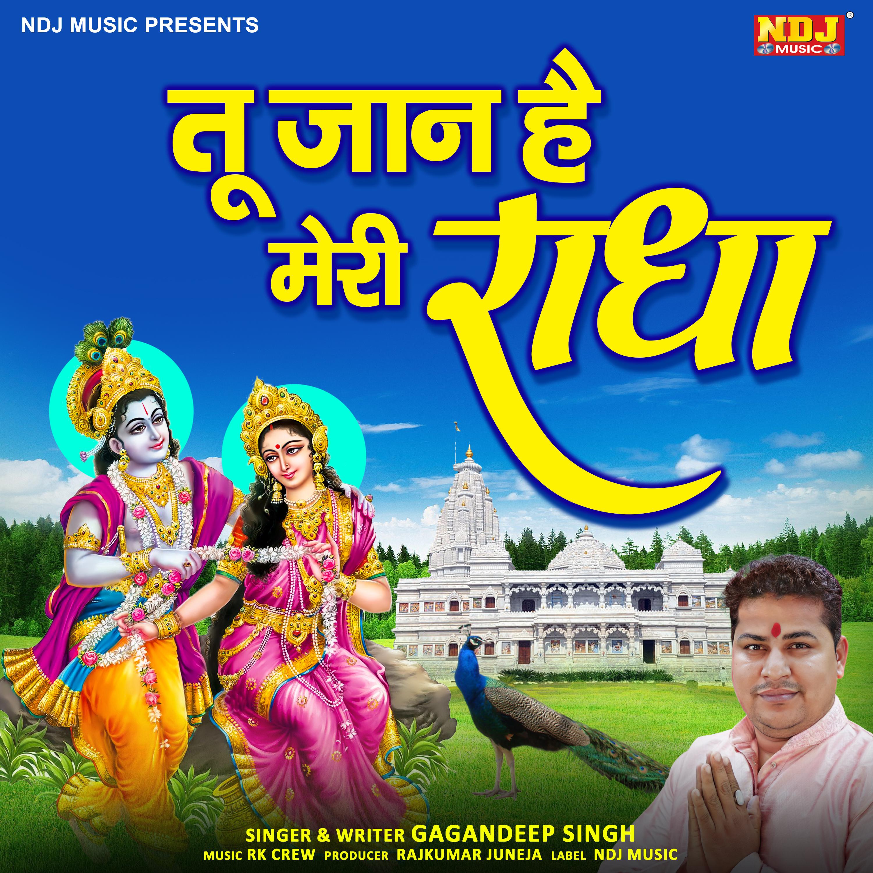 Постер альбома Tu Hai Jaan Meri Radha