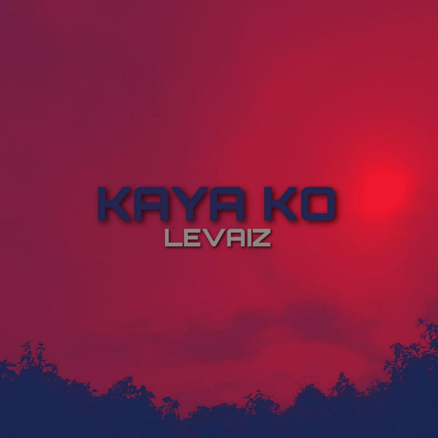 Постер альбома Kaya Ko