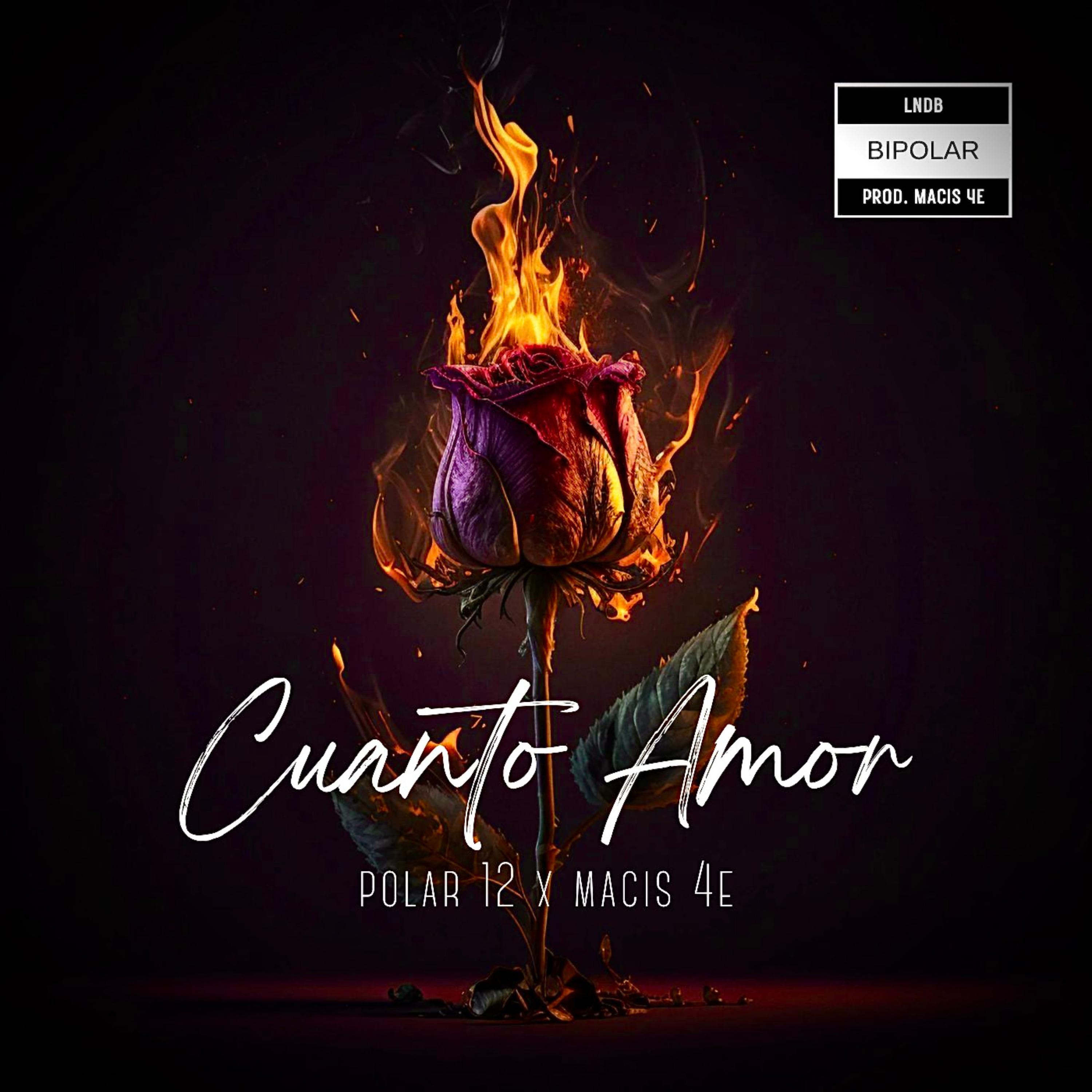 Постер альбома Cuanto Amor