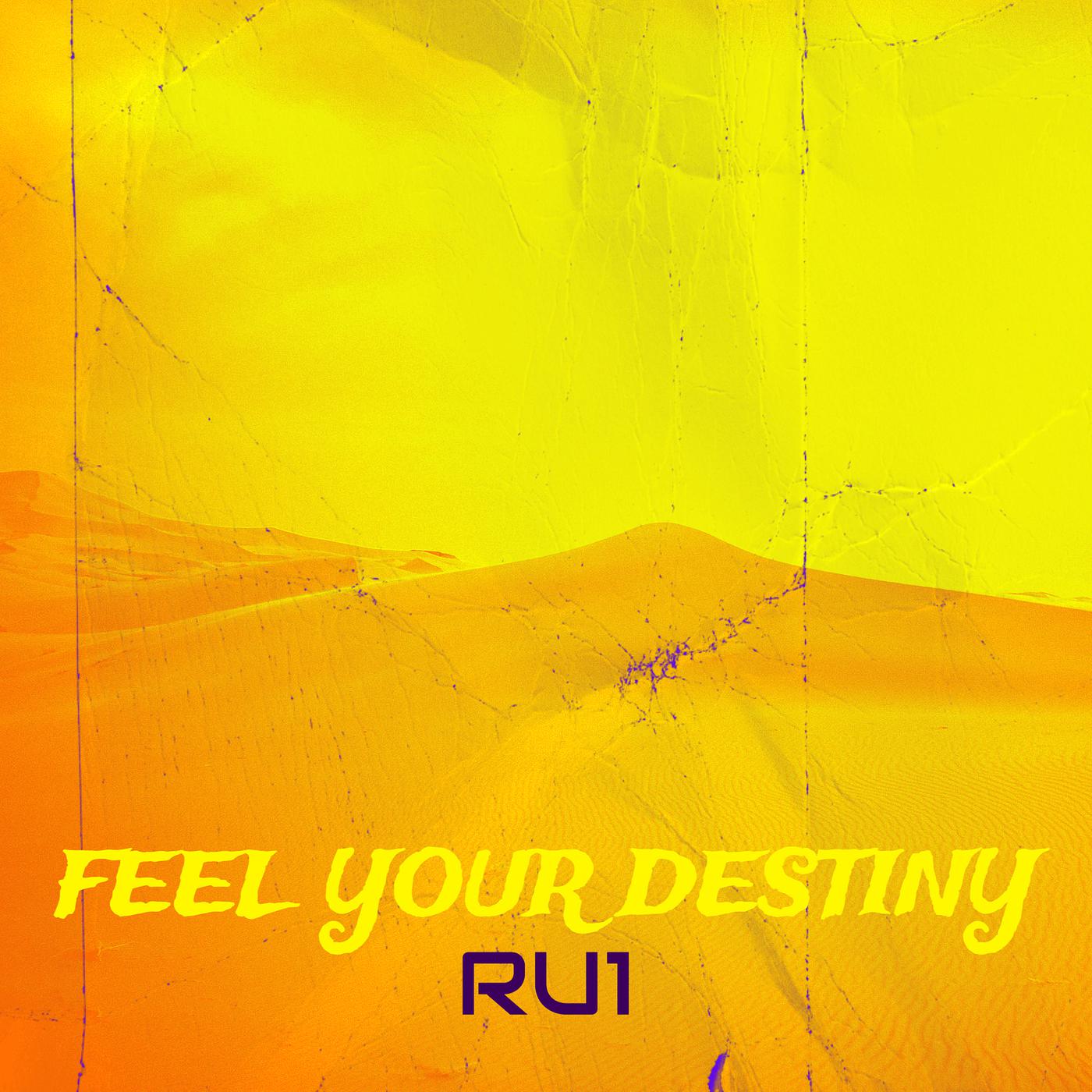 Постер альбома Feel Your Destiny