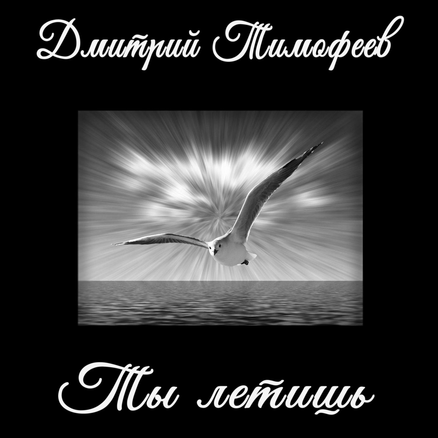 Постер альбома Ты летишь(Дмитрий Тимофеев)