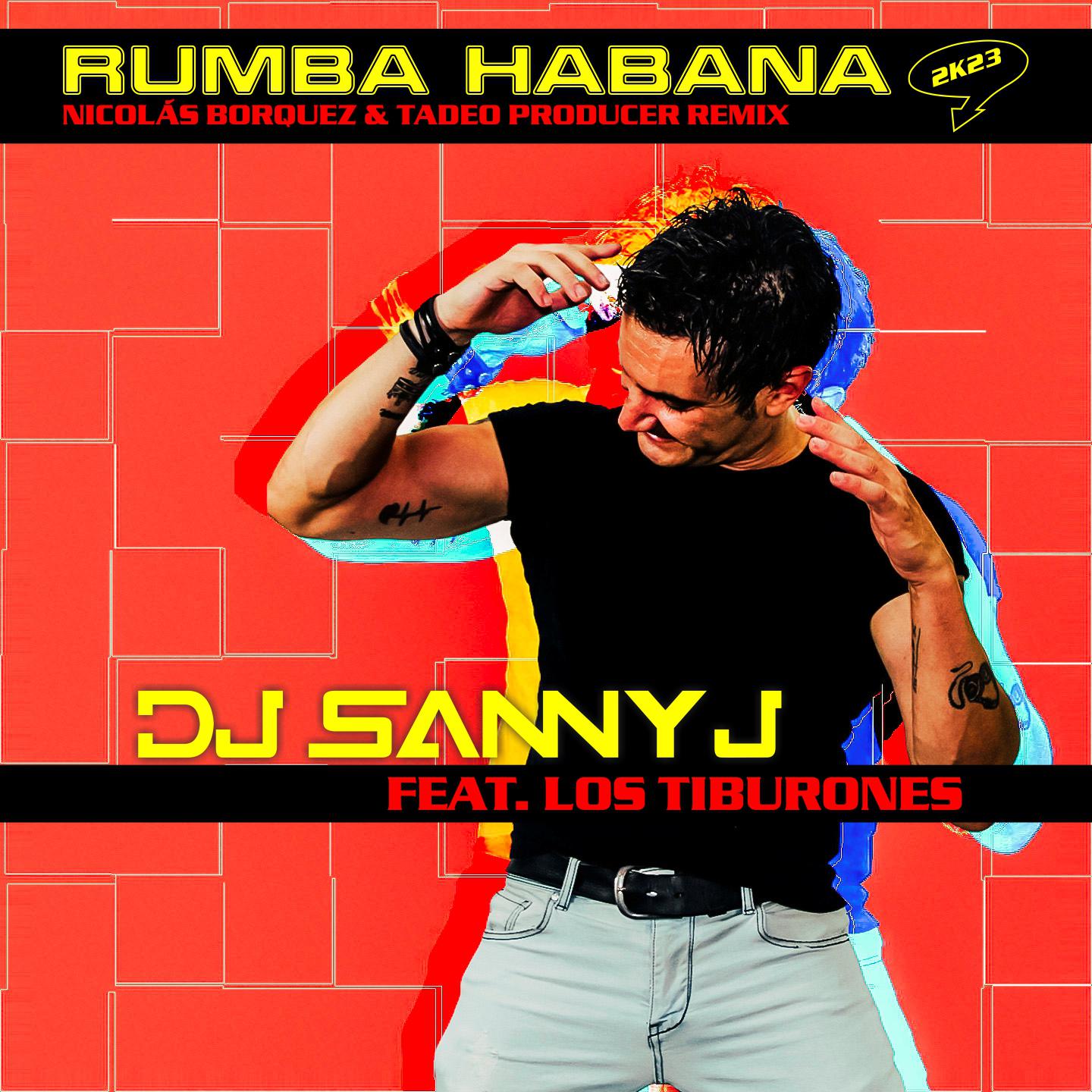 Постер альбома Rumba Habana