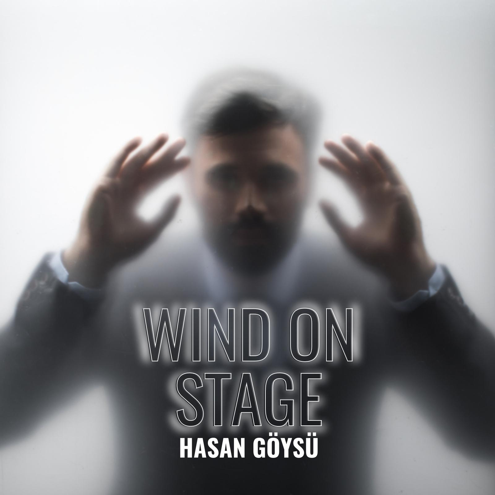 Постер альбома Wind On Stage