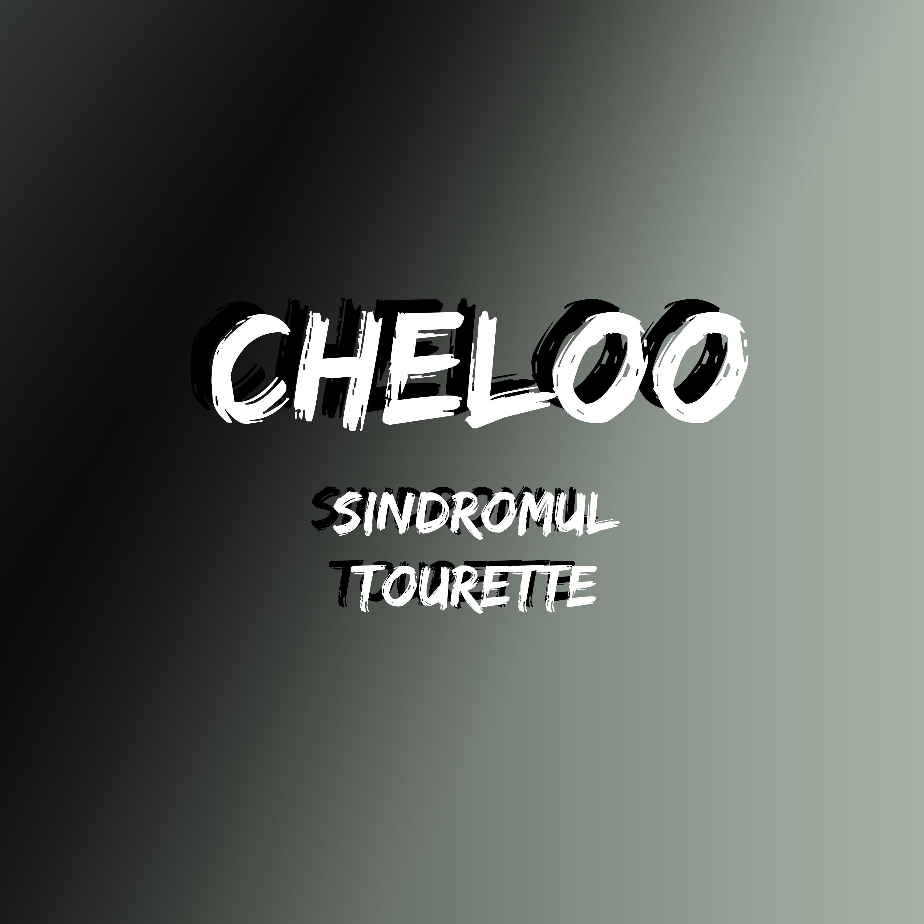 Постер альбома Sindromul Tourette