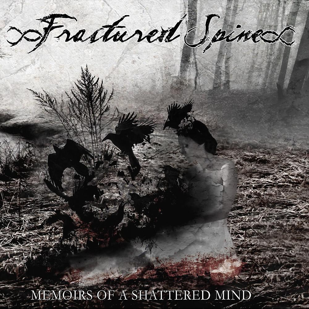 Постер альбома Memoirs of a Shattered Mind