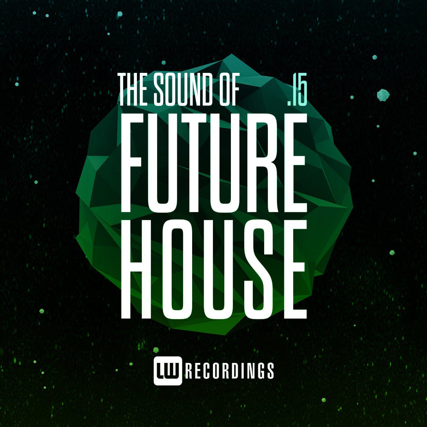 Постер альбома The Sound Of Future House, Vol. 15