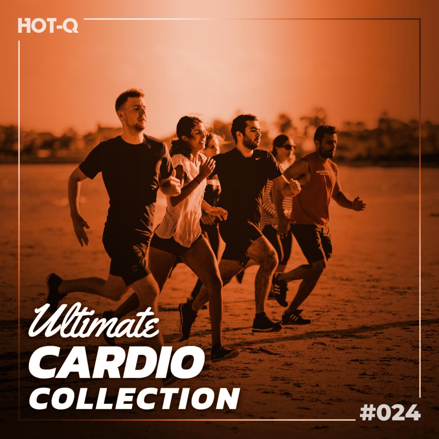 Постер альбома Ultimate Cardio Collection 024