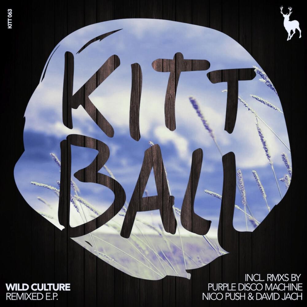 Wild Culture - For Everything (David Jach Remix)