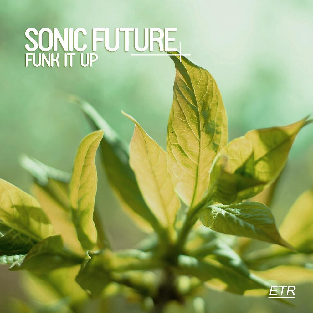 Sonic Future - Funk It Up (Radio Edit)