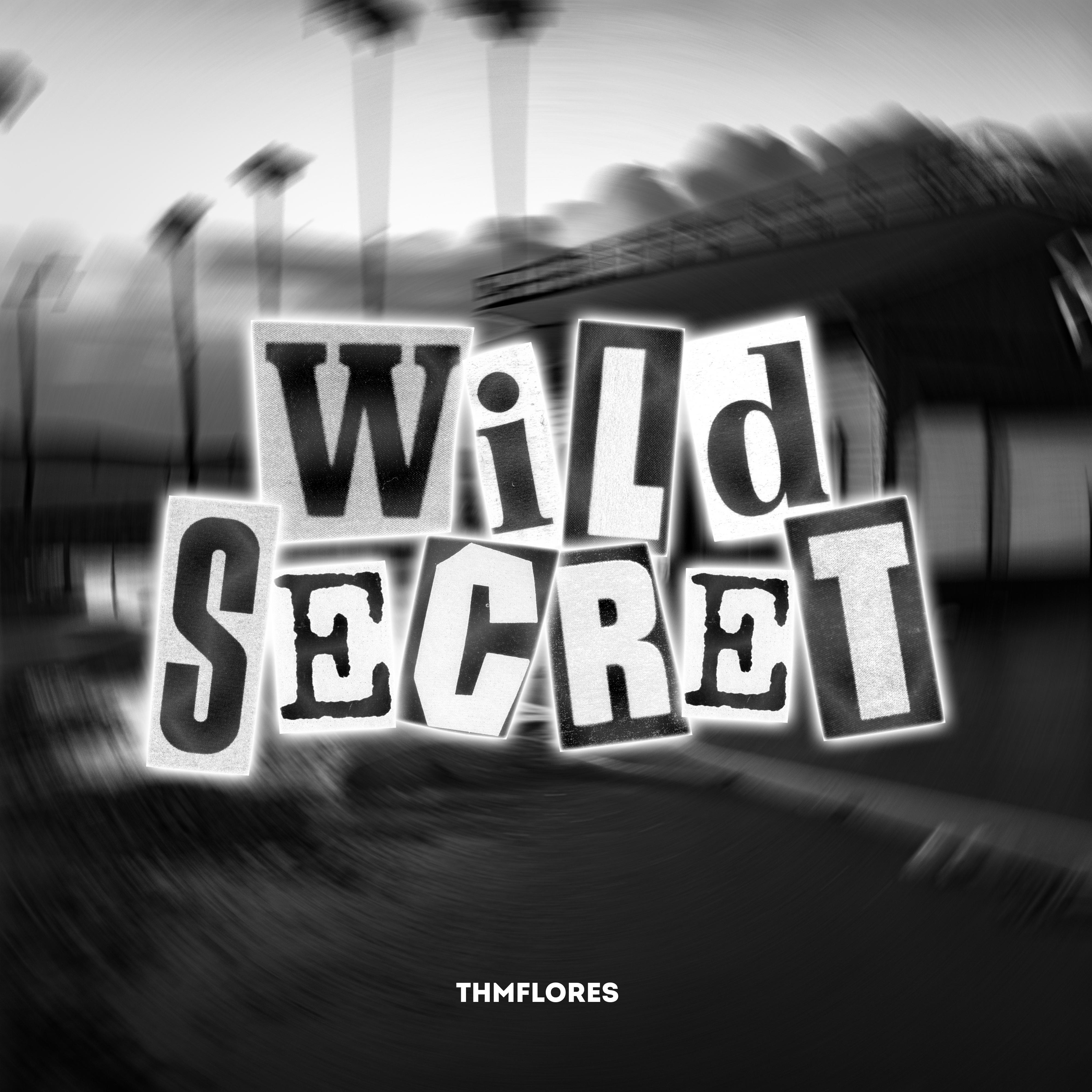 Постер альбома Wild Secret