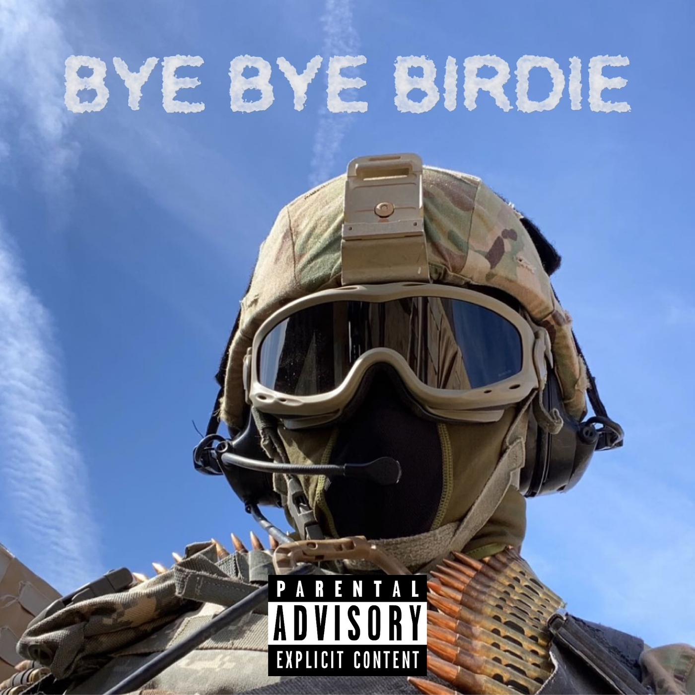 Постер альбома Bye Bye Birdie